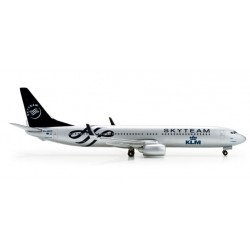 KLM "Skyteam" Boeing 737-900